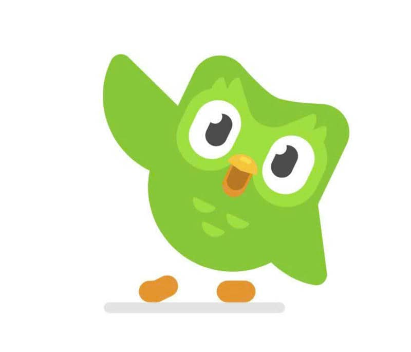 ảnh duolingo dễ thương