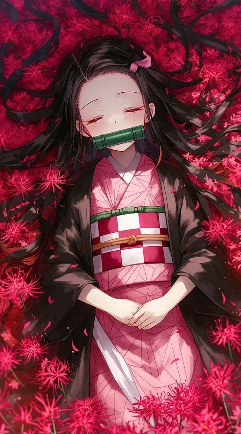 ảnh nezuko