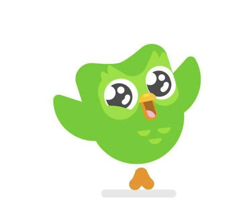 avatar duolingo