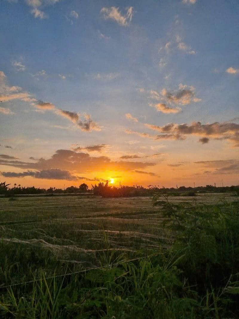 cảnh bình minh đẹp