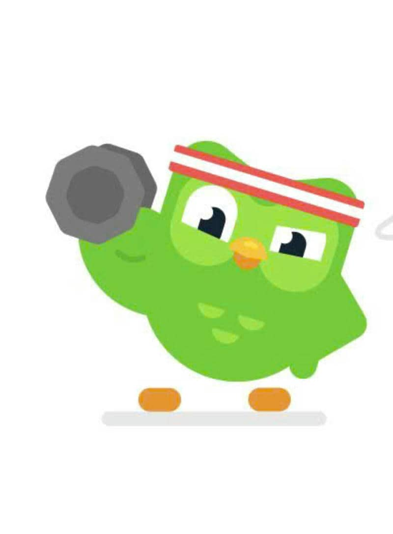 duolingo bắt cóc