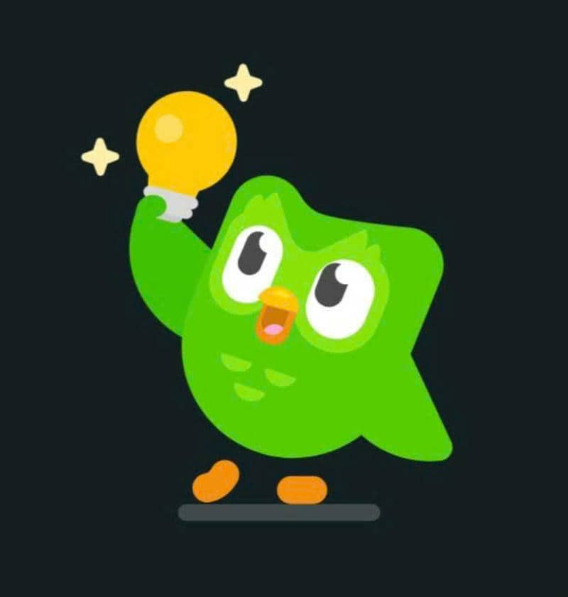 duolingo chửi người dùng