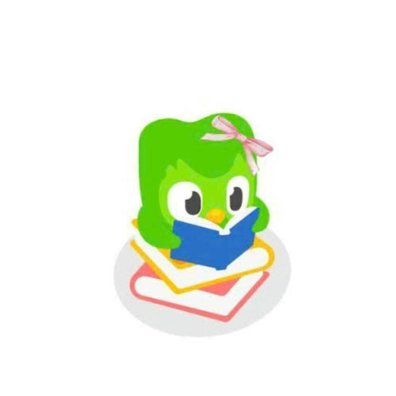 duolingo cute icon