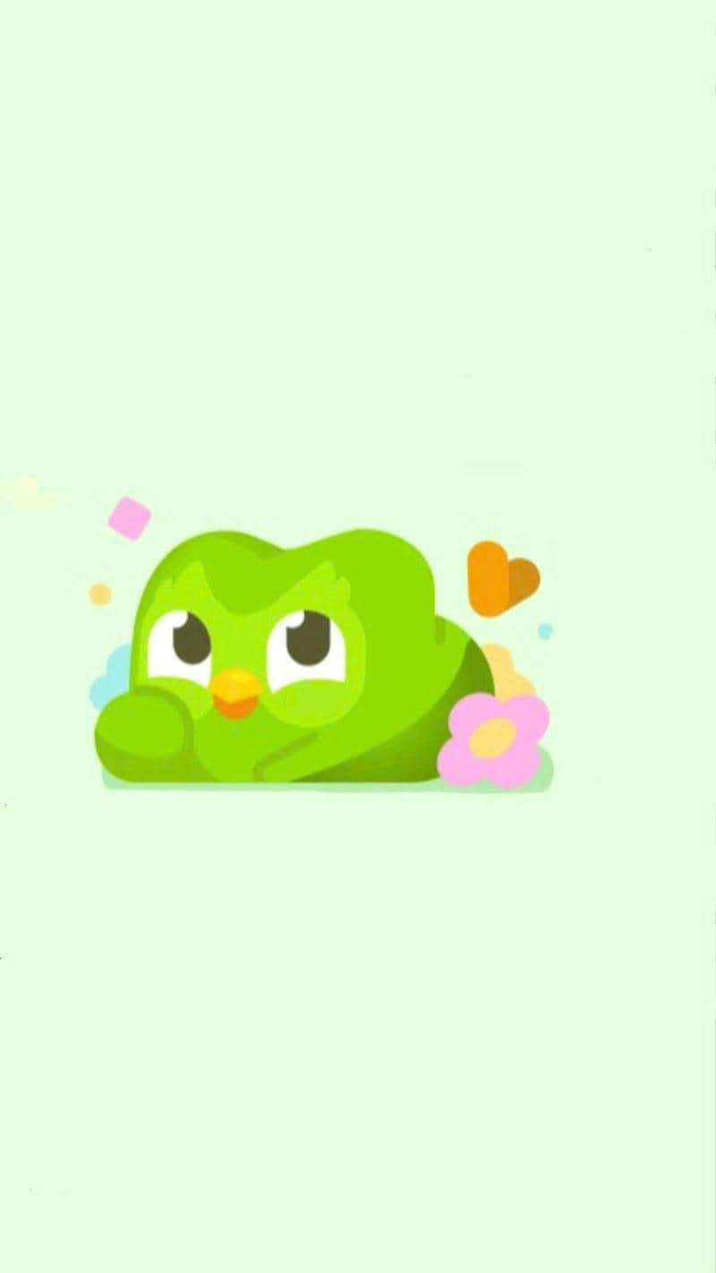 hình ảnh duolingo cute