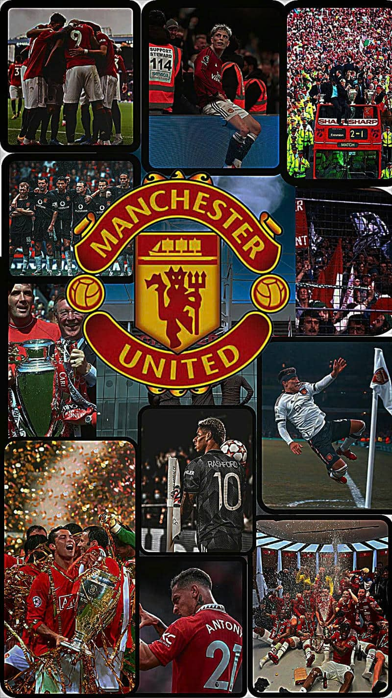 hình nền logo manchester united