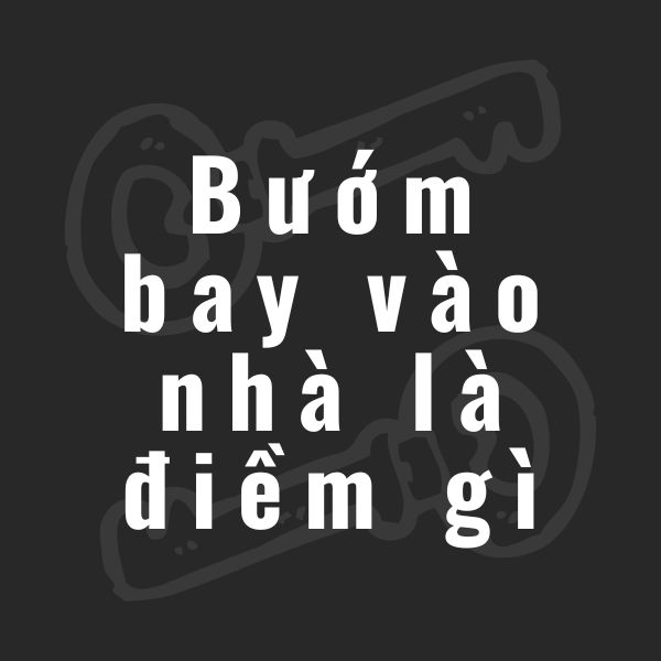 bướm bay vào nhà là điềm gì