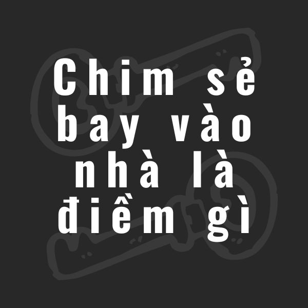 chim sẻ bay vào nhà là điềm gì