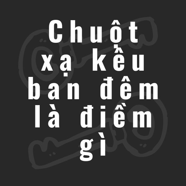 chuột xạ kêu ban đêm la điềm gì