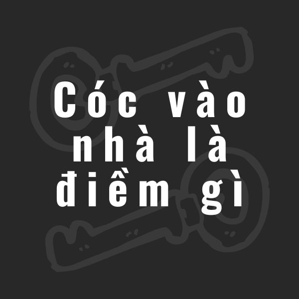 cóc vào nhà là điềm gì