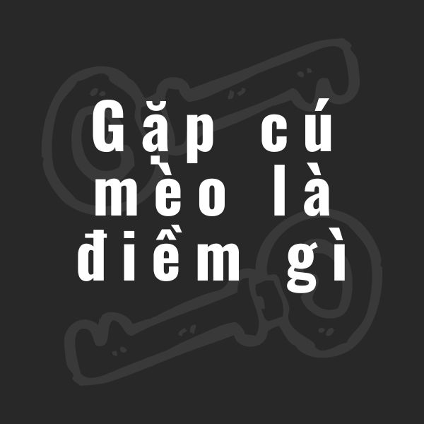 gặp cú mèo la điềm gì