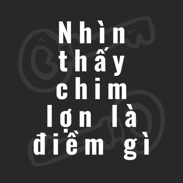 nhìn thấy chim lợn la điềm gì