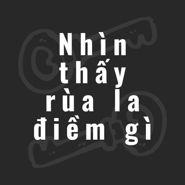 nhìn thấy rùa la điềm gì