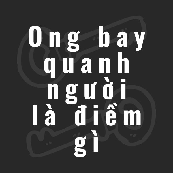 ong bay quanh người la điềm gì