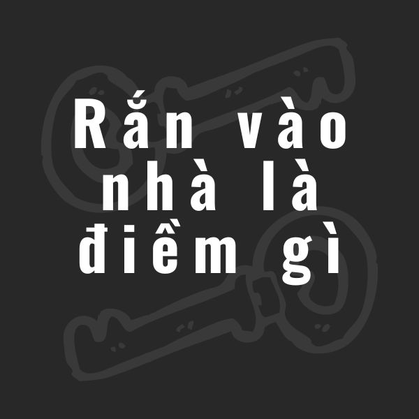 rắn vào nhà là điềm gì