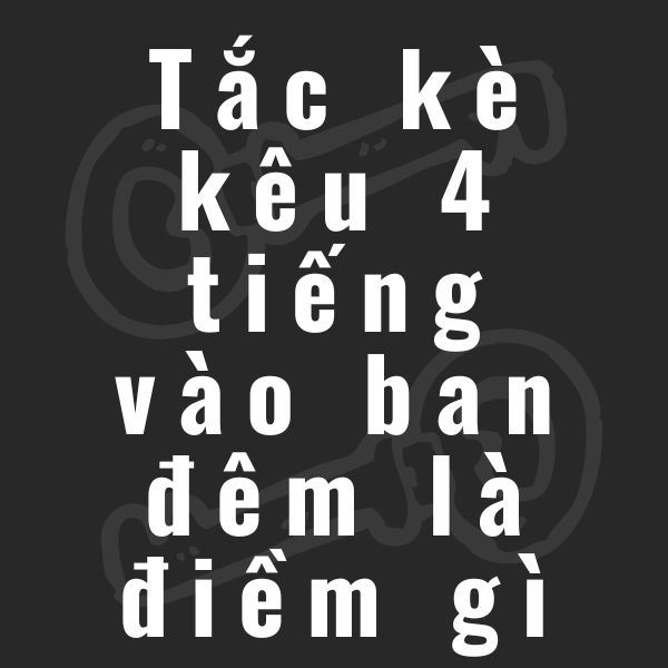 tắc kè kêu 4 tiếng vào ban đêm la điềm gì