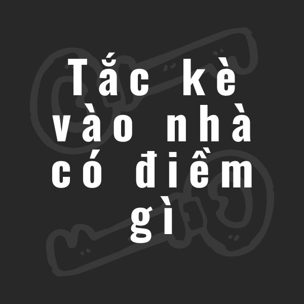 tắc kè vào nhà có điềm gì