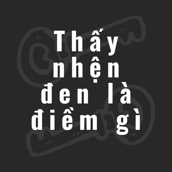 thấy nhện đen la điềm gì